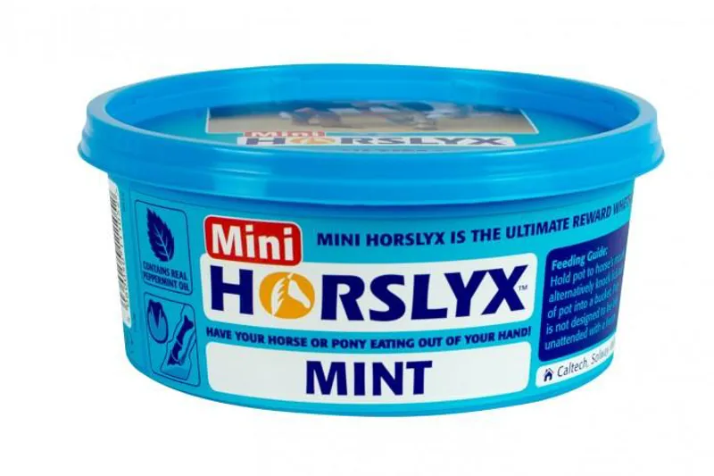 Horslyx MiniLick Mint 650g